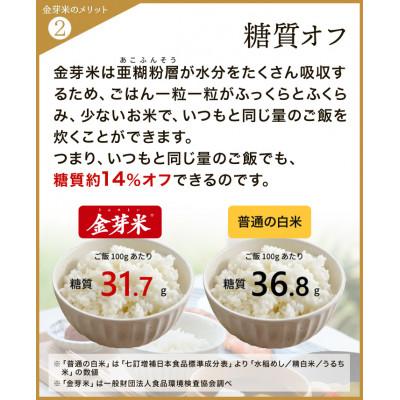 ふるさと納税 美浜町 【 金芽米 】愛知県 美浜町産 にじのきらめき 5kg 無洗米 |  | 02