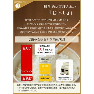 ふるさと納税 美浜町 【 金芽米 】愛知県 美浜町産 にじのきらめき 5kg 無洗米 |  | 03