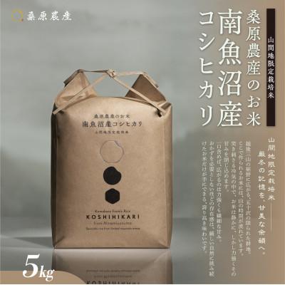 ふるさと納税 南魚沼市 令和8年産 新米予約 日本のお米の最高峰 南魚沼産こしひかり 精米 5kg 山間地限定米