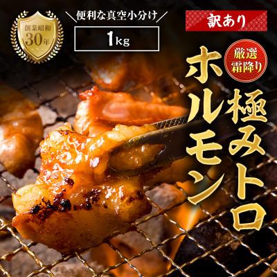 ふるさと納税 舞鶴市 [訳あり]国産霜降り極トロホルモン1kg