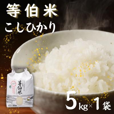 ふるさと納税 七尾市 [令和7年産]等伯米コシヒカリ5kg (5kg×1袋)