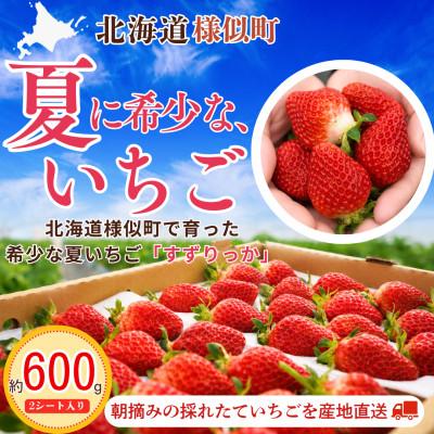 ふるさと納税 様似町 夏いちご王国 様似町産 すずりっか 約300g×2パック