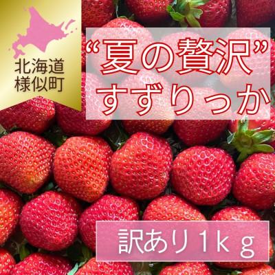 ふるさと納税 様似町 [訳あり]様似町産 すずりっか 約1kg