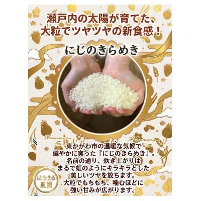 ふるさと納税 東かがわ市 R8新米虹のきらめき 玄米30キロ