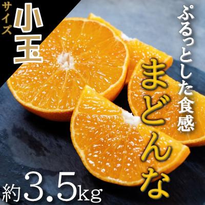 ふるさと納税 八幡浜市 [2026年11月以降順次発送]ゼリーのような食感!「媛一まどんな」小玉約3.5kg入[28-46]