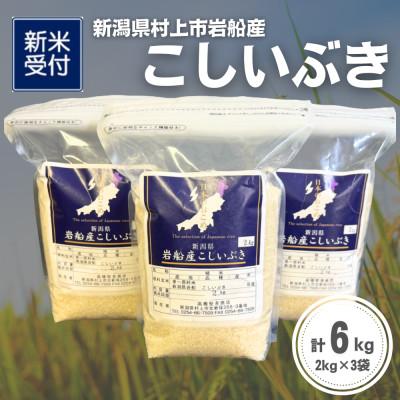 ふるさと納税 村上市 [新米受付・令和8年産米]新潟県村上市岩船産 こしいぶき6kg(2kg×3袋)1099001N