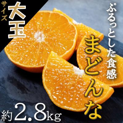 ふるさと納税 八幡浜市 [2026年11月以降順次発送]ゼリーのような食感!「媛一まどんな」大玉約2.8kg入[28-45]