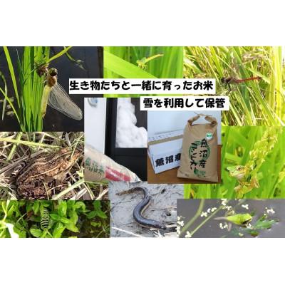 ふるさと納税 魚沼市 [魚沼ブランド]精米10kg[農薬化学肥料栽培期間中不使用・エコファーマー]魚沼産コシヒカリ