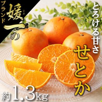ふるさと納税 八幡浜市 愛媛の柑橘の代名詞!「せとか」約1.3kg入[28-43]