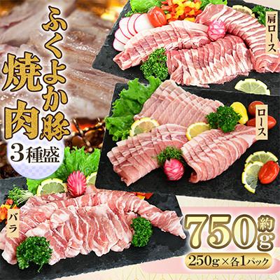 ふるさと納税 田川市 ふくよか豚 焼肉3種セット 750g(250g×3パック)(田川市)