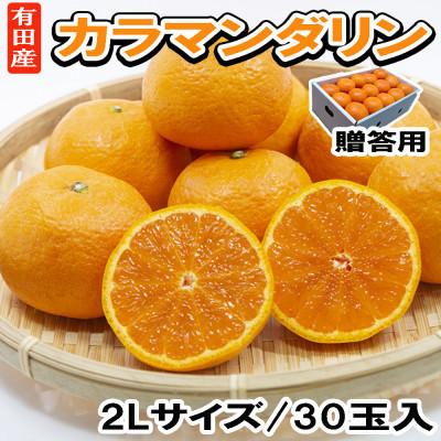 ふるさと納税 北山村 2027年4月出荷[春みかん]有田産カラマンダリン贈答用30玉[北山村][tecj1057sato]