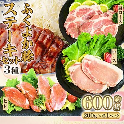 ふるさと納税 田川市 ふくよか豚 ステーキセット 600g(200g×3パック)(田川市)