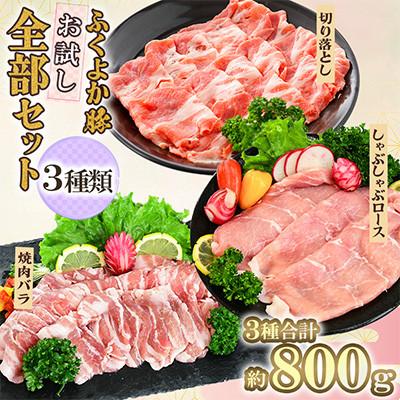 ふるさと納税 田川市 ふくよか豚 お試し全部セット 計800g(田川市)