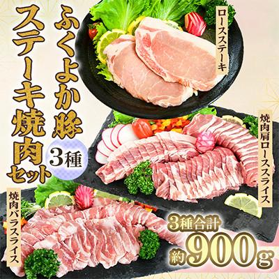 ふるさと納税 田川市 ふくよか豚 ステーキ焼肉セット 計900g(田川市)