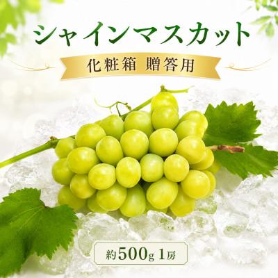 ふるさと納税 丸亀市 先行受付 贈答用 シャインマスカット約500g 1房 化粧箱 発送:7月下旬〜