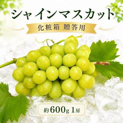 ふるさと納税 丸亀市 先行受付 贈答用 シャインマスカット 約600g 1房 化粧箱 発送:7月下旬〜