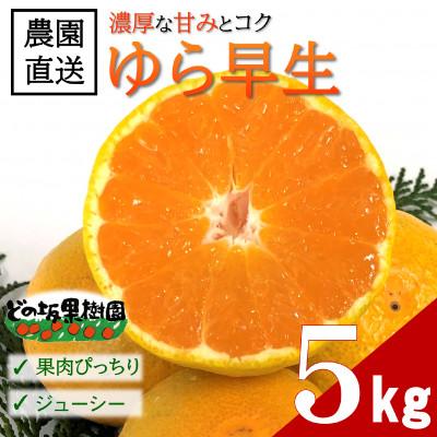 ふるさと納税 日高町 [2026年10月下旬〜発送]濃い!どの坂果樹園のゆら早生みかん 約5kg(2S〜Lサイズ)先行受付