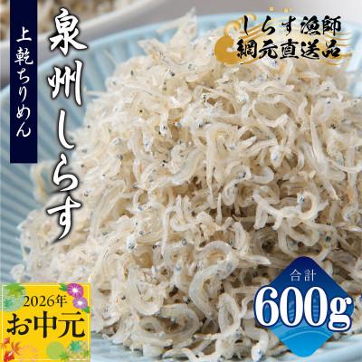 ふるさと納税 泉佐野市 [お中元のし]上乾ちりめんしらす 600g 小分け 100g×6P おすすめ 産地直送
