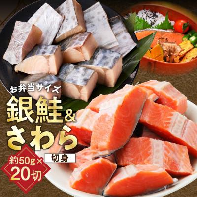 ふるさと納税 泉佐野市 [お弁当サイズ]さわら&amp;銀鮭 切身 計20切れ(各約50g×10切れ) 訳あり サイズ不揃い