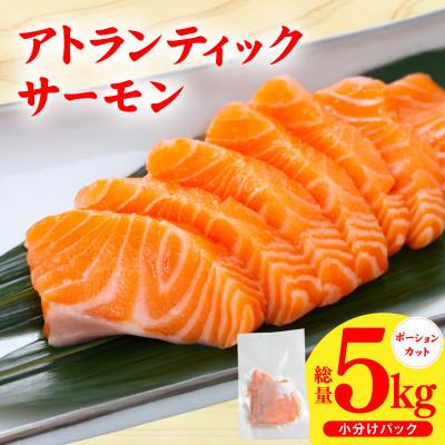 ふるさと納税 泉佐野市 アトランティックサーモン 5kg 小分け ポーション 柵切り 刺身 訳あり
