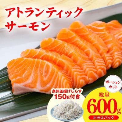 ふるさと納税 泉佐野市 アトランティックサーモン 600g+しらす150g 小分け ポーション 柵切 刺身