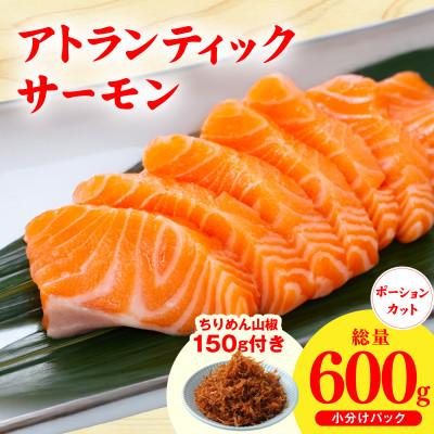 ふるさと納税 泉佐野市 アトランティックサーモン 600g+ちりめん山椒150g 小分け ポーション
