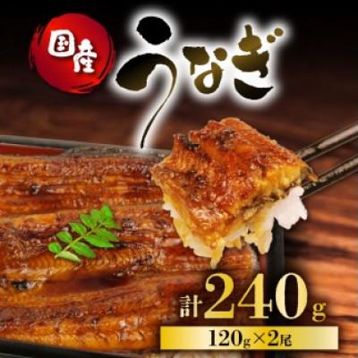 ふるさと納税 藤枝市 うなぎ 国産 蒲焼 120g×2パック 計240g