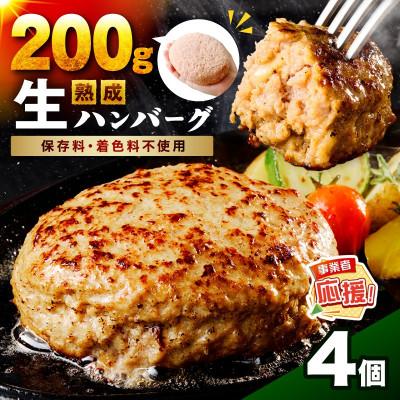 ふるさと納税 泉南市 [無添加]熟成生ハンバーグ(200g×4個) ふるさと納税3.0