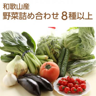 ふるさと納税 日高町 旬の新鮮野菜セット8種以上[野菜詰め合わせ]