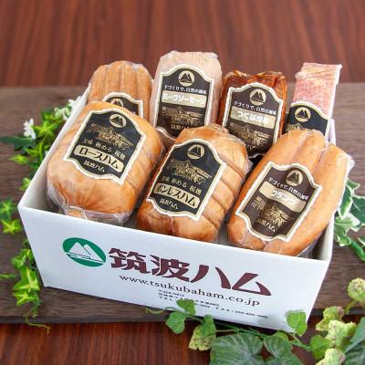 ふるさと納税 阿見町 筑波ハム 銘柄豚「常陸の輝き」バラエティブロック7品 [茨城県共通返礼品]