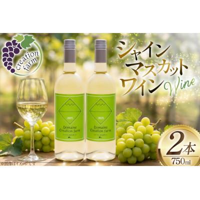 ふるさと納税 韮崎市 [数量限定]シャインマスカット醸しワイン 750ml×2本