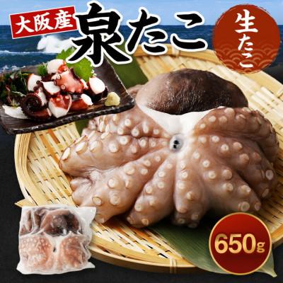 ふるさと納税 阪南市 お歳暮/年内発送[12月21日より順次発送]大阪産(おおさかもん)「泉タコ(生たこ)」650g