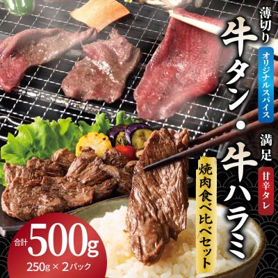 ふるさと納税 泉佐野市 牛タン焼肉 オリジナルスパイス&amp;牛ハラミ甘辛 食べ比べ焼肉セット 合計500g(250g×2P)