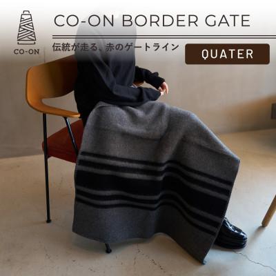 ふるさと納税 泉大津市 [CO-ON]ボーダーゲート ウールブランケット クォーター 70×100cm グレー