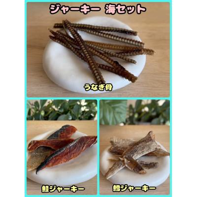 ふるさと納税 富田林市 [ふるさと納税限定セット][わんちゃん用ペットフード]ジャーキー海セット