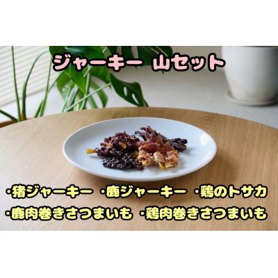ふるさと納税 富田林市 [ふるさと納税限定セット][わんちゃん用ペットフード] ジャーキー山セット