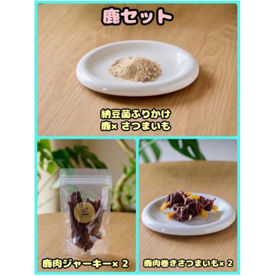 ふるさと納税 富田林市 [ふるさと納税限定セット][わんちゃん用ペットフード]鹿セット