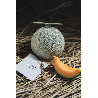 ふるさと納税 日光市 自然と人に寄り添う日光産メロン 赤肉メロン 1個(1.5kg〜2kg程度)