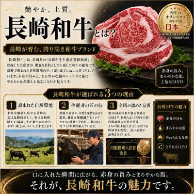 ふるさと納税 佐世保市 【A4〜A5】訳あり!長崎和牛切り落とし 250g |  | 01