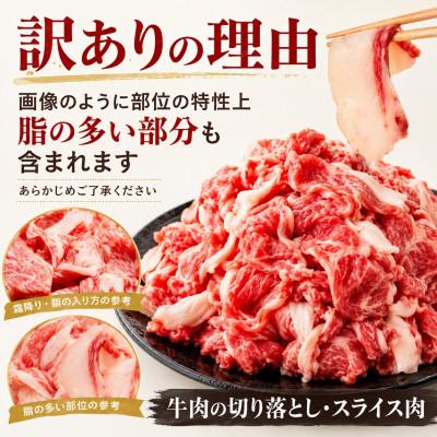 ふるさと納税 佐世保市 【A4〜A5】訳あり!長崎和牛切り落とし 250g |  | 02