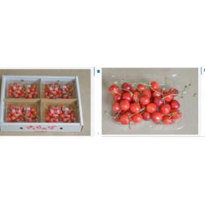 ふるさと納税 中山町 【令和9年産先行受付】山形県中山町産「紅さやか」秀品　M/Lサイズ　約800g(200g×4P) |  | 02