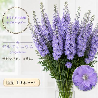 ふるさと納税 長和町 デルフィニウム 生花10本 花色:ラブラベンダー 〜特別な花をインテリアに〜