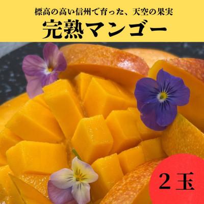 ふるさと納税 御代田町 長野県浅間山麓 天空の果実 高原マンゴー(2玉)