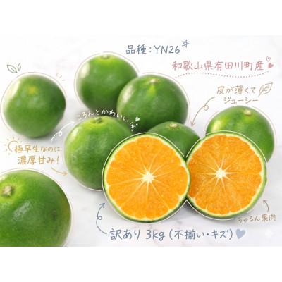 ふるさと納税 有田川町 「訳あり 家庭用」YN26 3kg(S〜2Lサイズ混合)
