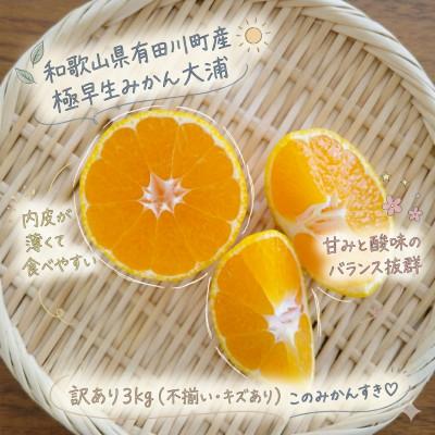 ふるさと納税 有田川町 「訳あり 家庭用」極早生みかん 大浦 3kg(S〜2Lサイズ混合)