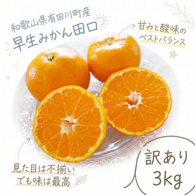 ふるさと納税 有田川町 「訳あり 家庭用」早生みかん 田口 3kg(S〜2Lサイズ混合)