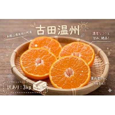 ふるさと納税 有田川町 「訳あり 家庭用」晩生みかん 古田温州 3kg(S〜2Lサイズ混合)
