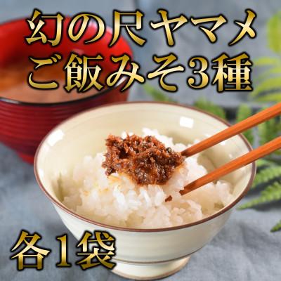 ふるさと納税 三股町 幻の尺ヤマメご飯みそ3種セット各100g[MI774]