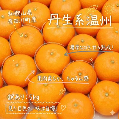 ふるさと納税 有田川町 「訳あり 家庭用」丹生系温州みかん 5kg(S〜2Lサイズ混合)
