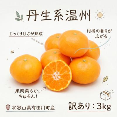 ふるさと納税 有田川町 「訳あり 家庭用」丹生系温州みかん 3kg(S〜2Lサイズ混合)